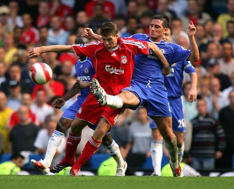 他们引进了 他们引进了